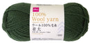 ウール１００％毛糸（並太、ＷＮ２０、苔色）