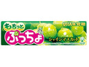 味覚糖　ぷっちょスティック　もちっとシャインマスカット　１０粒