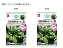 交配寒締めほうれん草