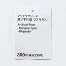 フェイクグリーン（吊り下げ型、リプサリス）