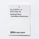 フェイクグリーン（ヤドリフカノキ）