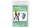 ポストカードサイズ画用紙　厚口