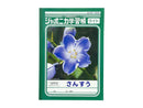 ジャポニカライト学習帳　さんすう　１４マス