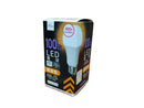 ＬＥＤ電球（１００Ｗ形相当、電球色、２００００Ｈ）