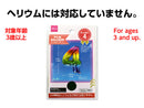 フィルムバルーン（Ｎｕｍｂｅｒ　４、レインボーカラー）