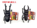 動物フィギュア（クワガタＡ）
