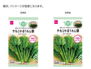やわらかほうれん草