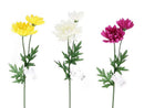菊（２輪）