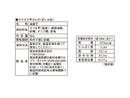 澁谷食品　サクサク芋けんぴ　甘しお味　５５ｇ