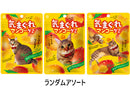 栄光堂ファクトリー　気まぐれマンゴーグミ　５０ｇ