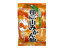 ２００円　川口製菓　和歌山みかん　１００ｇ