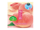 加藤製菓　塩もも飴　５４ｇ
