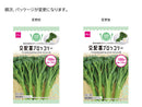 交配茎ブロッコリー
