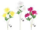 菊（３輪）