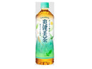 爽健美茶 ６００ｍｌＰＥＴ