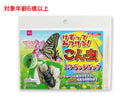 けずってみつける！こん虫スクラッチブック
